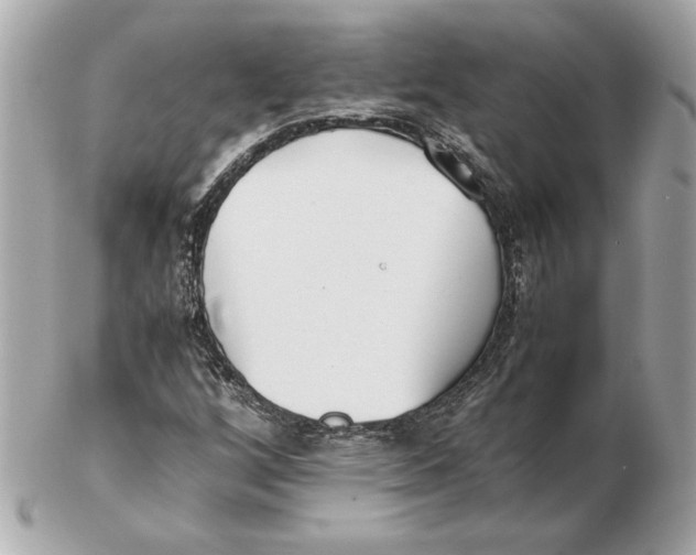 X0000102471256200808291556