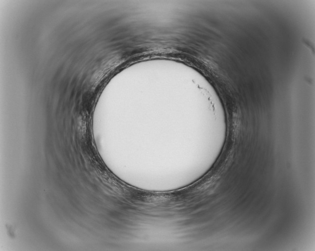 X0000102471257200808291556