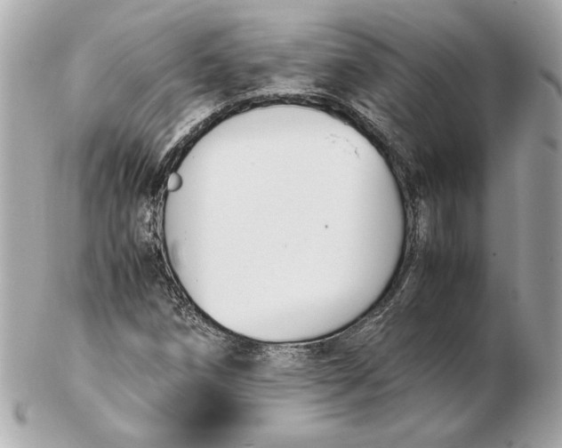 X0000102471258200808291556