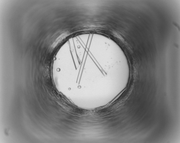 X0000102471259200808291556