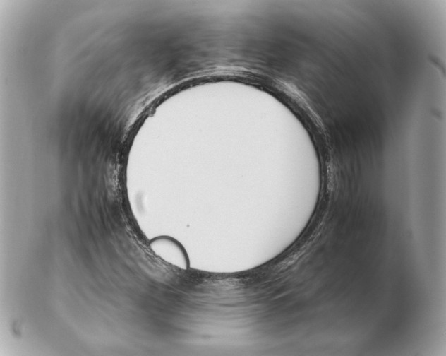 X0000102471260200808291556
