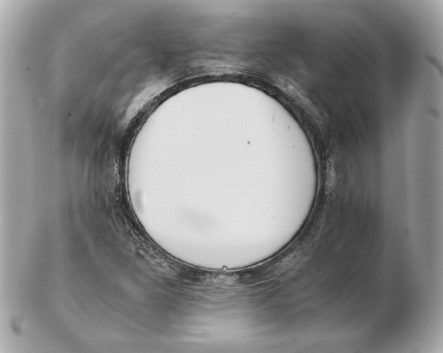 X0000102471261200808291556