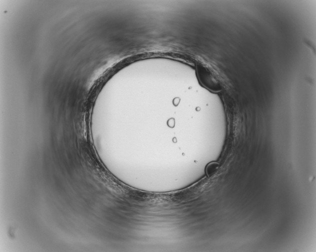 X0000102471262200808291556