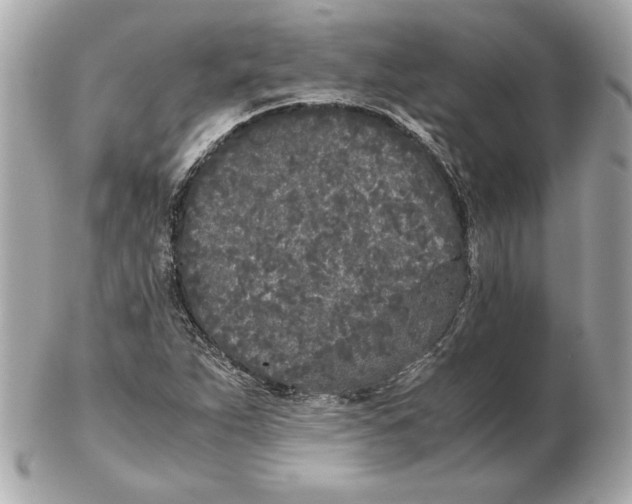 X0000102471263200808291556