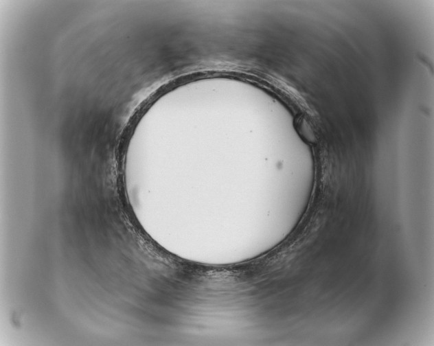 X0000102471264200808291556