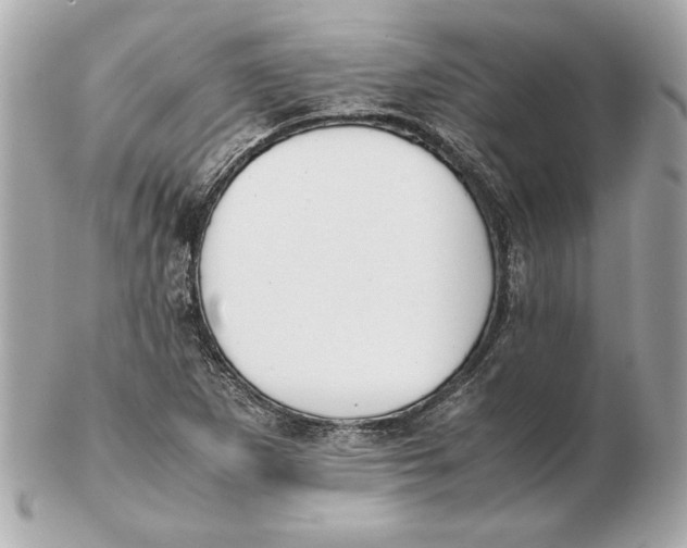 X0000102471265200808291556