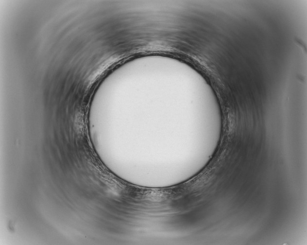 X0000102471266200808291556
