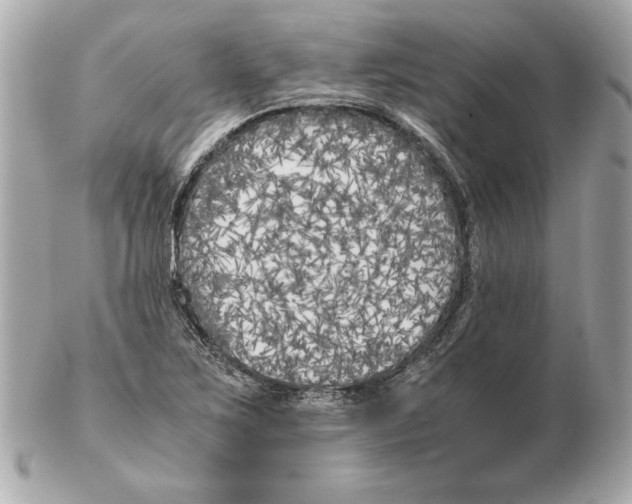 X0000102471267200808291556