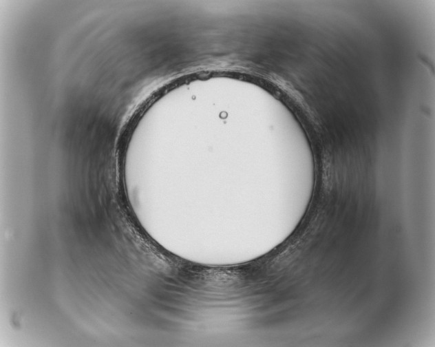 X0000102471270200808291556