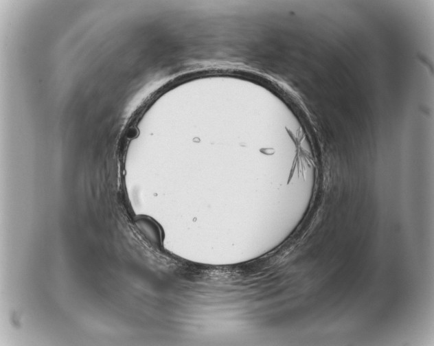 X0000102471271200808291556