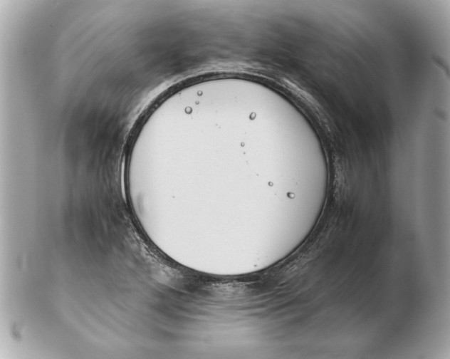 X0000102471272200808291556