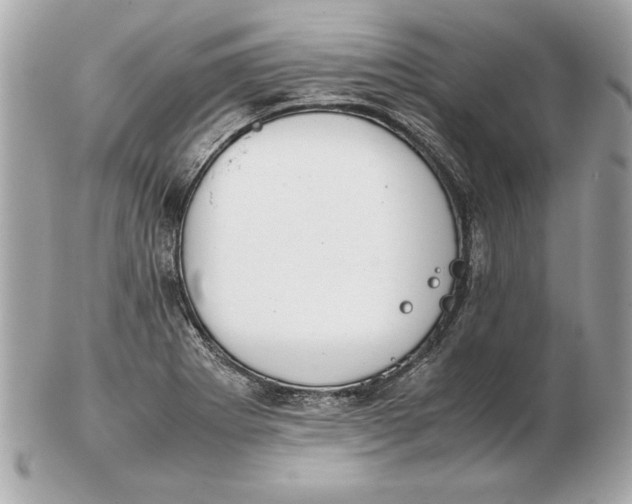 X0000102471273200808291556