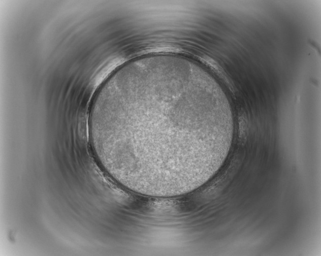 X0000102471274200808291556