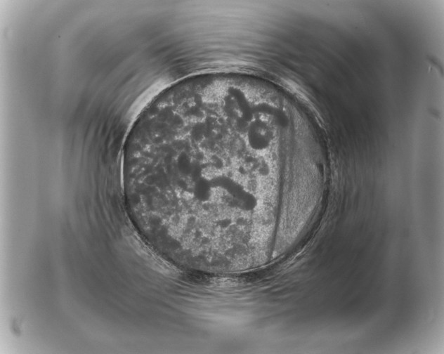 X0000102471275200808291556