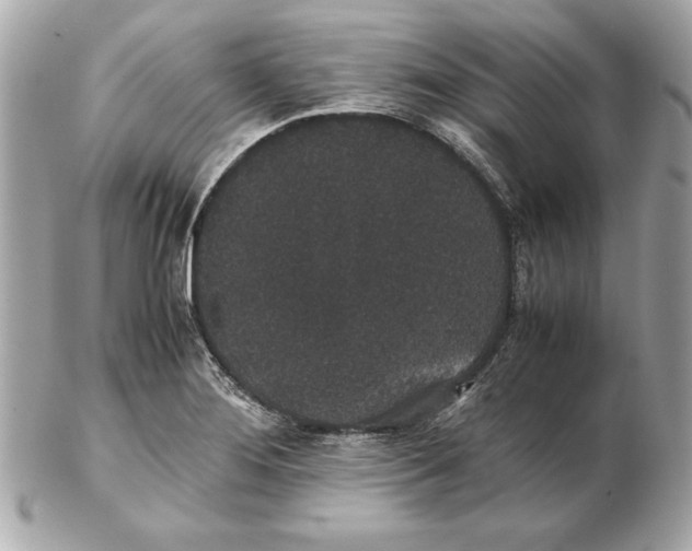 X0000102471276200808291556