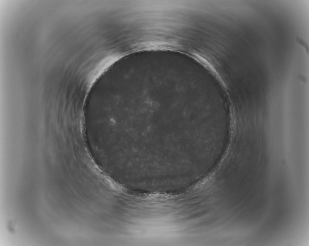 X0000102471277200808291556