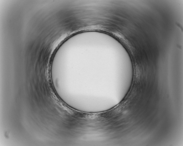 X0000102471278200808291556