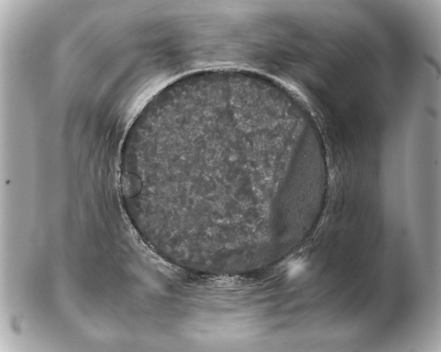 X0000102471279200808291556