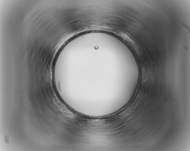 X0000102471280200808291556