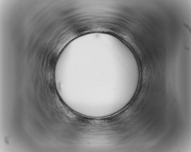X0000102471281200808291556