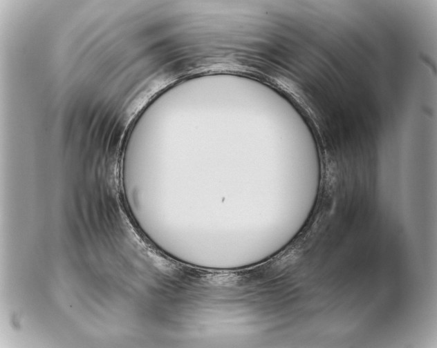 X0000102471282200808291556