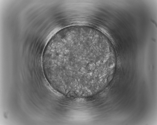 X0000102471283200808291556