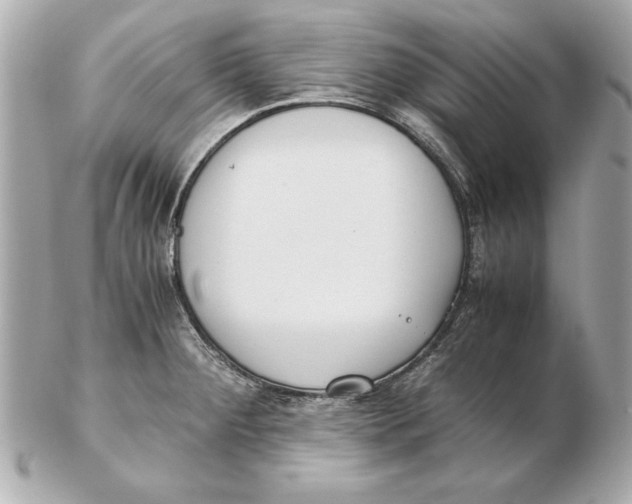 X0000102471284200808291556