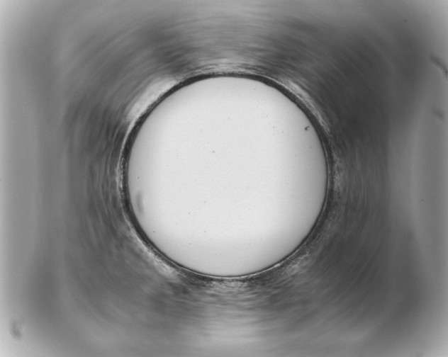 X0000102471285200808291556
