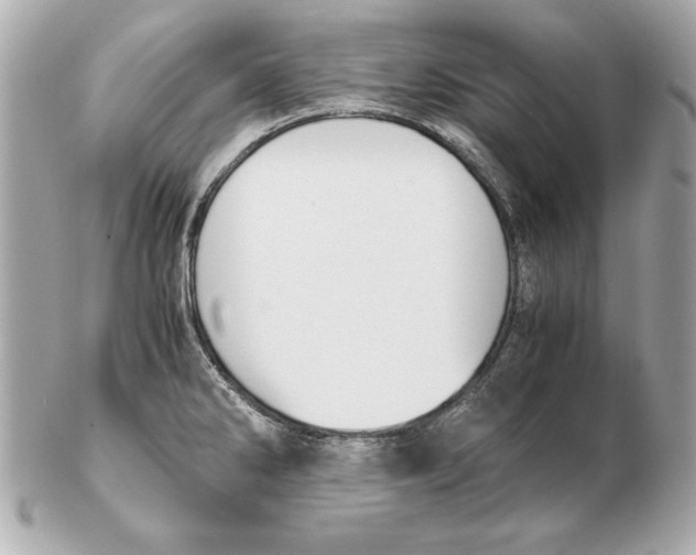 X0000102471286200808291556