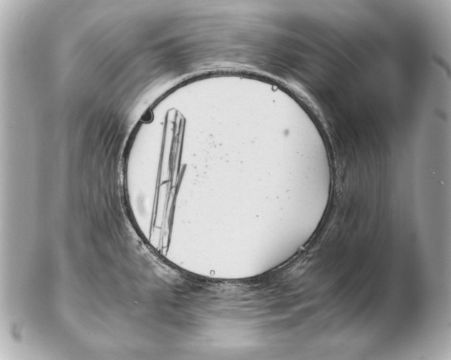 X0000102471287200808291556