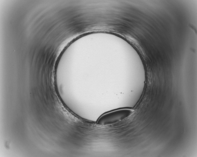 X0000102471288200808291556