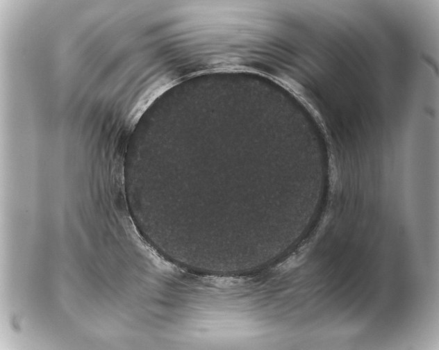 X0000102471289200808291556
