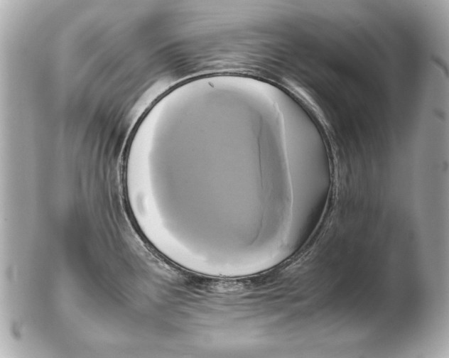 X0000102471291200808291556