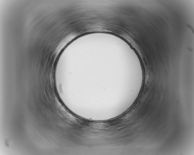 X0000102471293200808291556