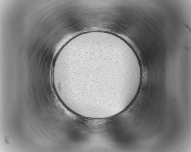 X0000102471294200808291556