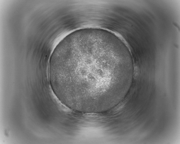 X0000102471295200808291556
