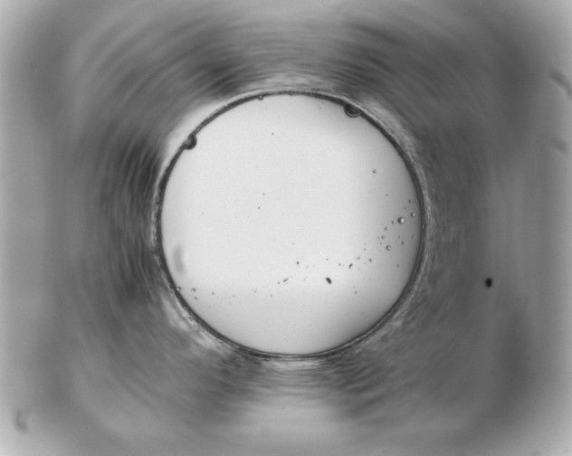 X0000102471296200808291556