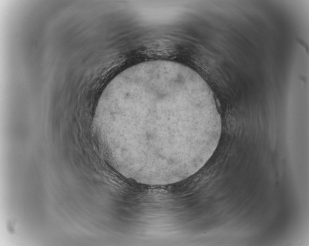 X0000102471297200808291555