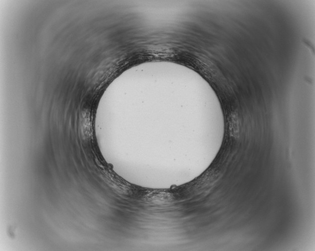 X0000102471298200808291555
