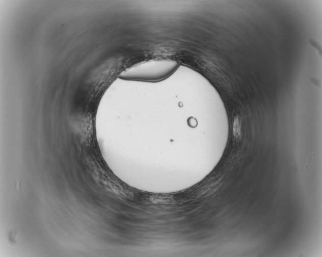 X0000102471299200808291555