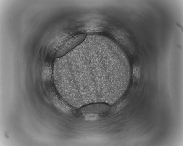 X0000102471300200808291555