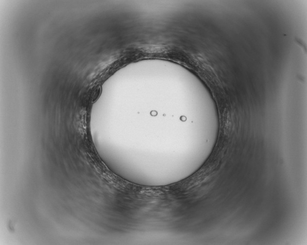 X0000102471301200808291555