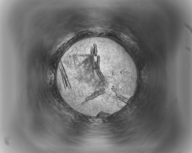 X0000102471302200808291555
