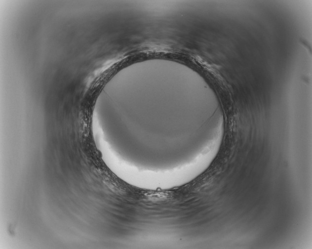 X0000102471303200808291555