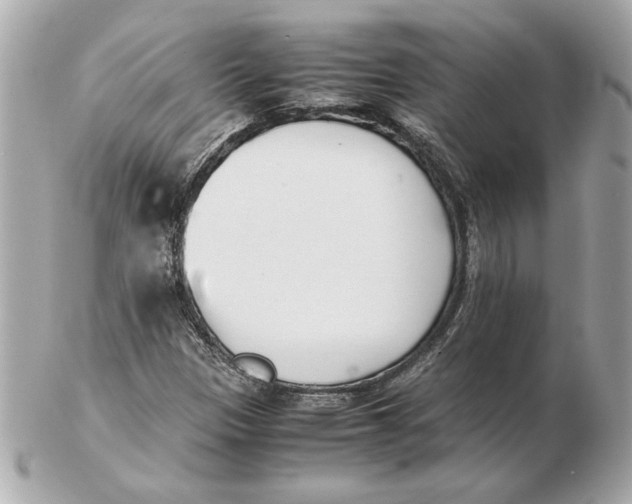 X0000102471305200808291555