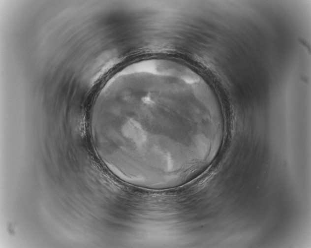 X0000102471306200808291555