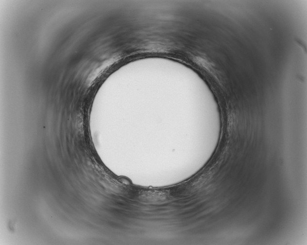 X0000102471307200808291555