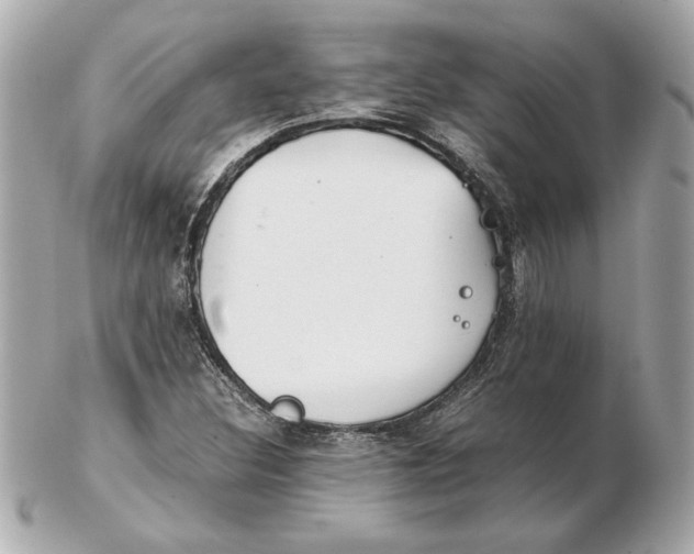 X0000102471308200808291555