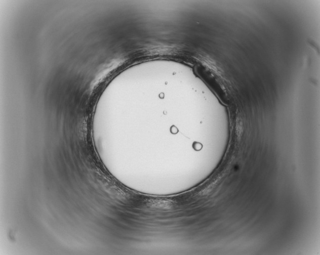 X0000102471309200808291555
