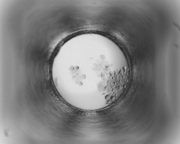X0000102471310200808291555